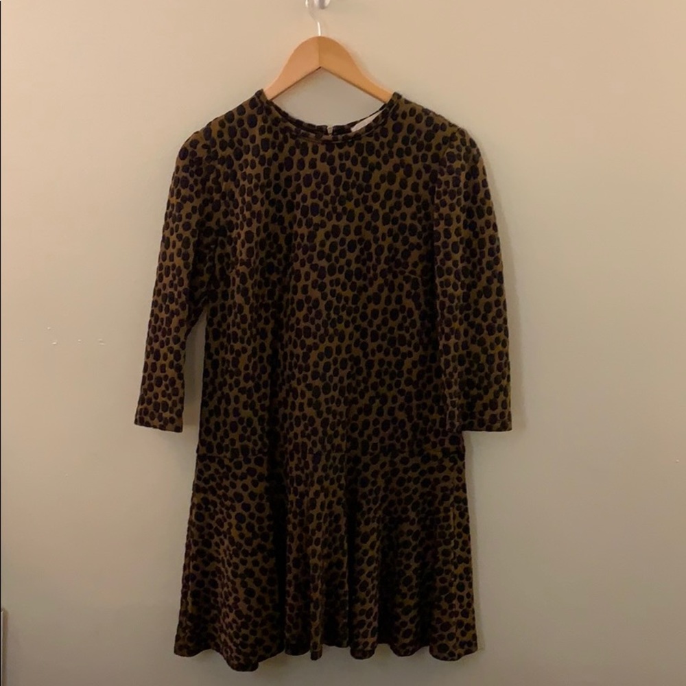 Animal print Ann Taylor loft dress